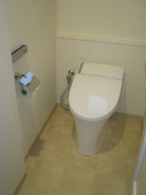 フラシュバルブの便器をサティスに取替えました フラシュバルブの便器をサティスに取替えました